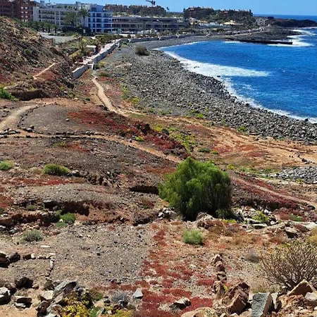 Casa Ocean بالم مار